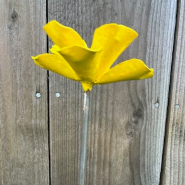 Blomma liten gul - Bild 2