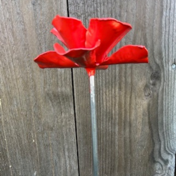 Blomma liten röd - Bild 2