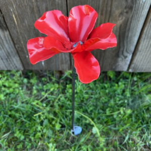 Blomma liten röd