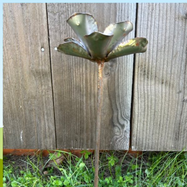 Blomma liten rost - Bild 2
