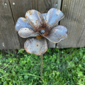 Blomma liten rost