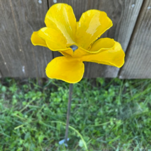 Blomma liten gul