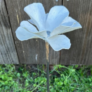 Blomma liten vit