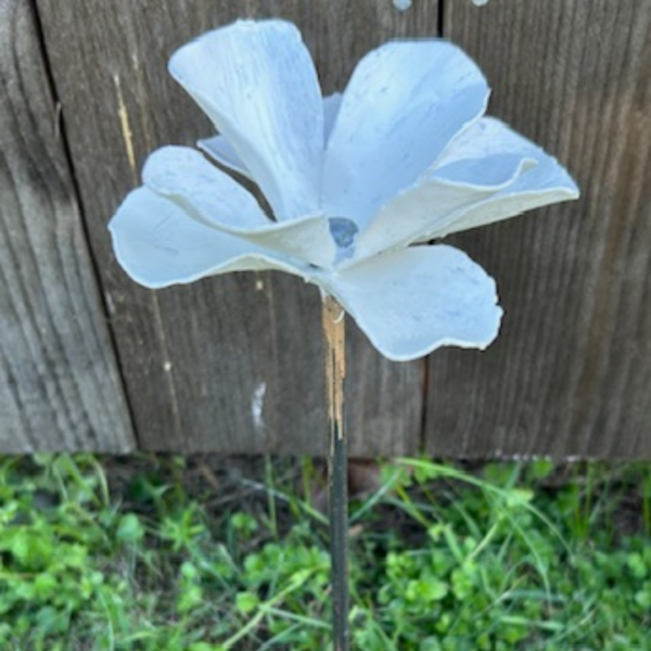 Blomma liten vit