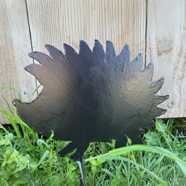 Igelkott liten svart