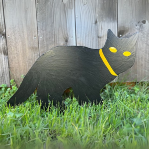 Katt reflex