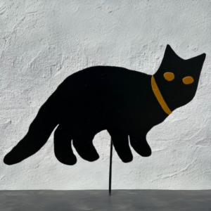 Katt reflex snurrande svart