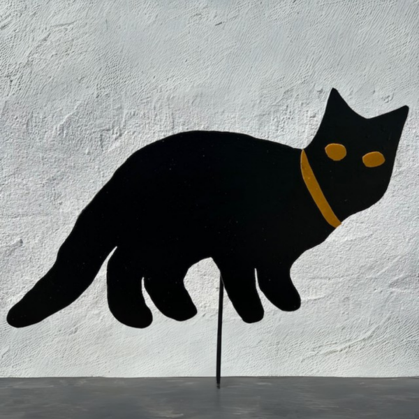 Katt reflex snurrande svart