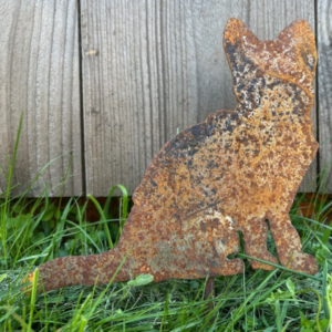 Kattunge rost