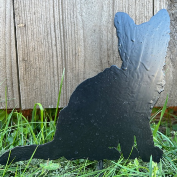 Kattunge svart