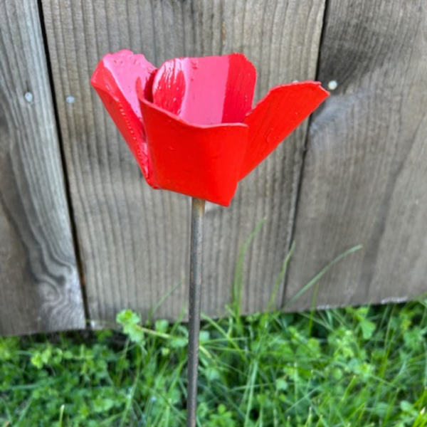 Ros röd - Bild 2
